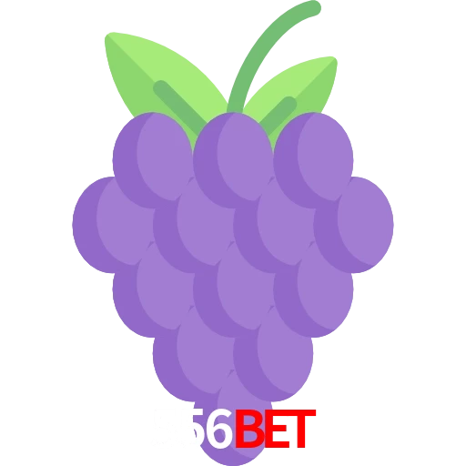 556bet